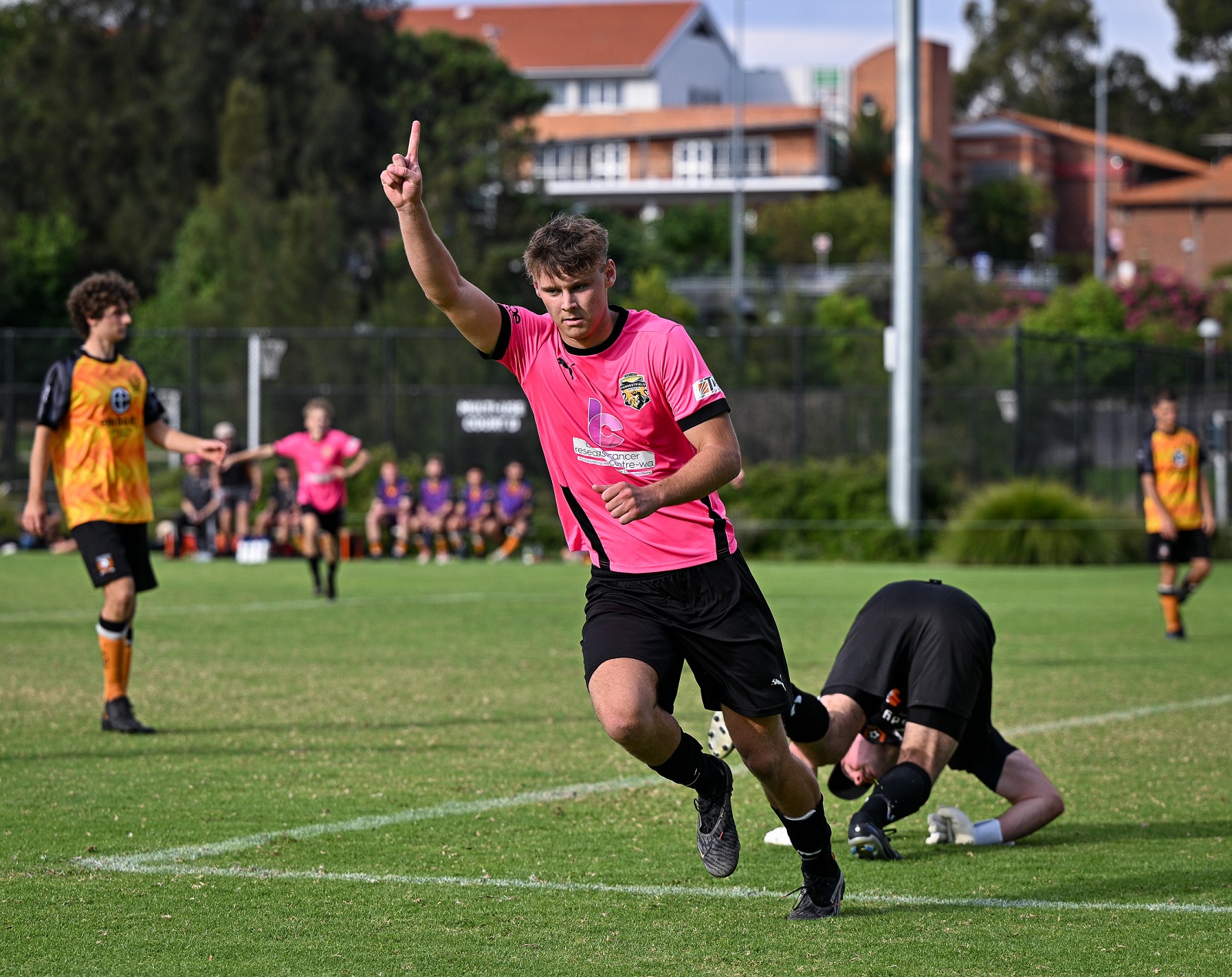 Forrestfield Curtin Cat Bryant