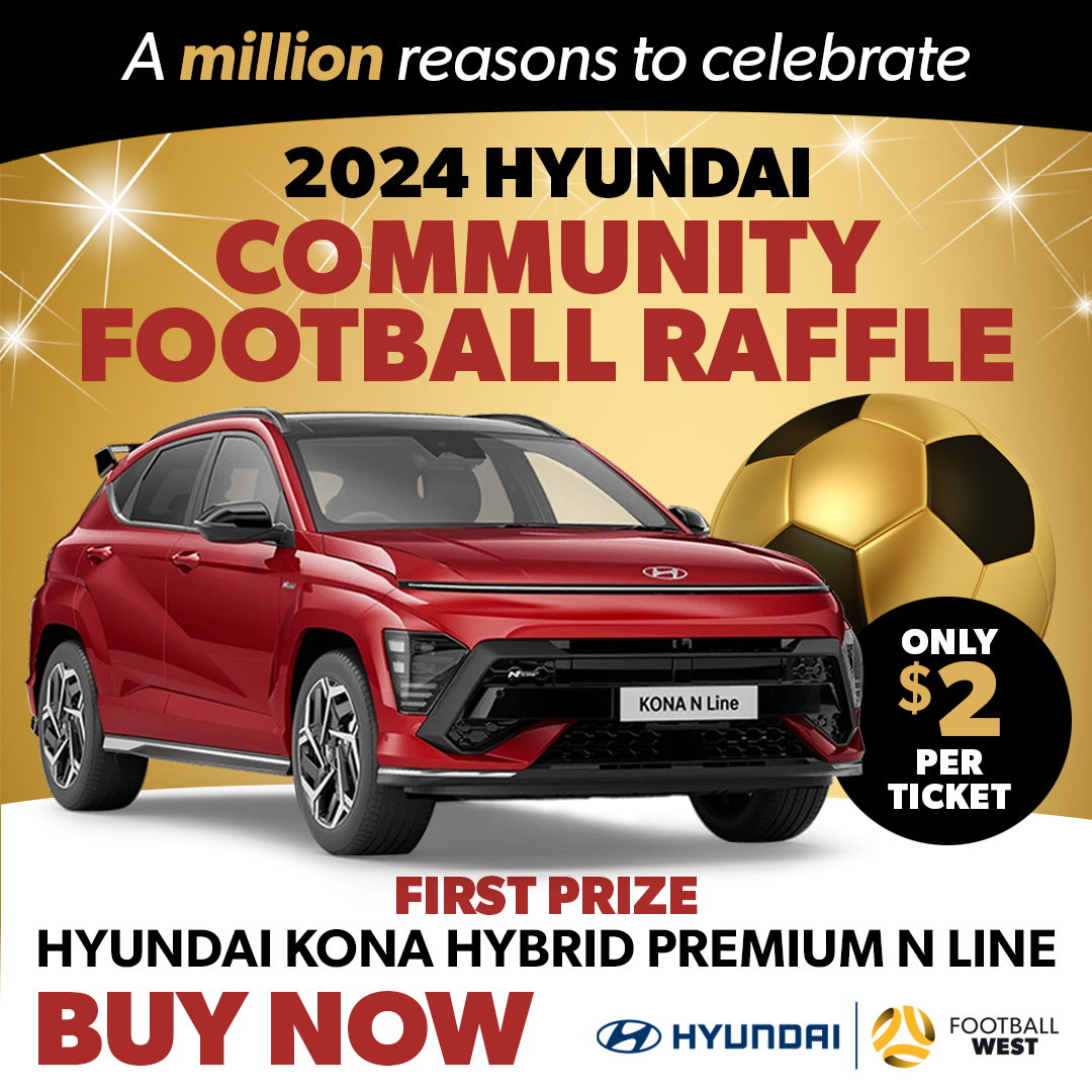 Hyundai raffle 