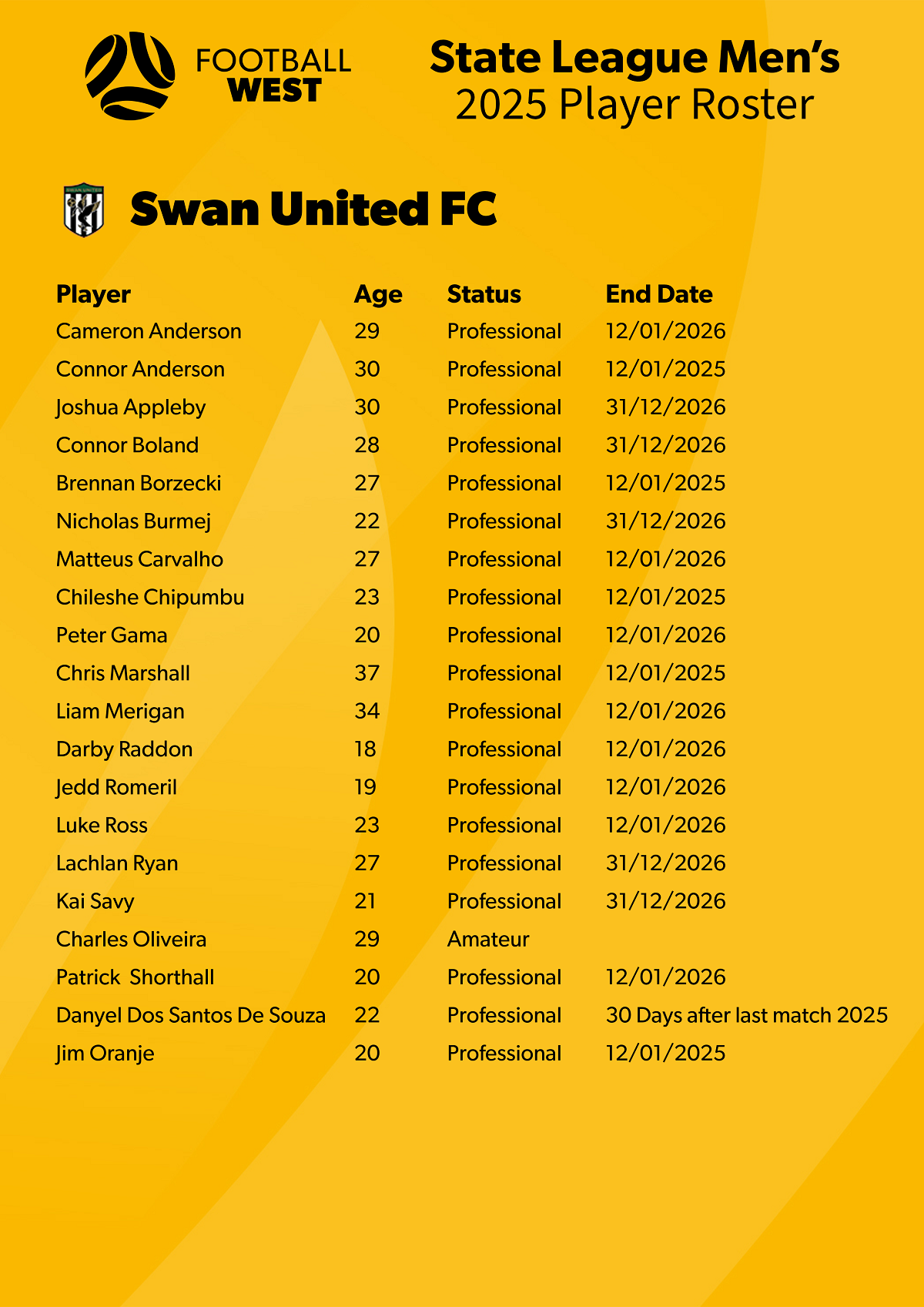 2025 Player Roster - swan V2