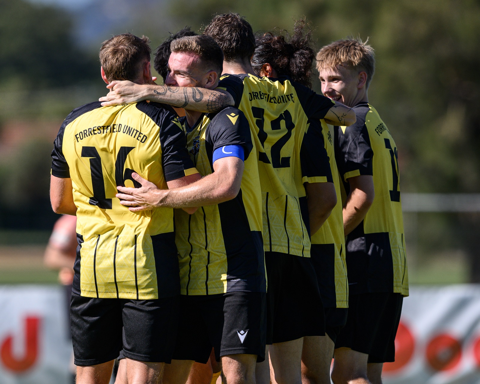 Forrestfield Cat Bryant Photography