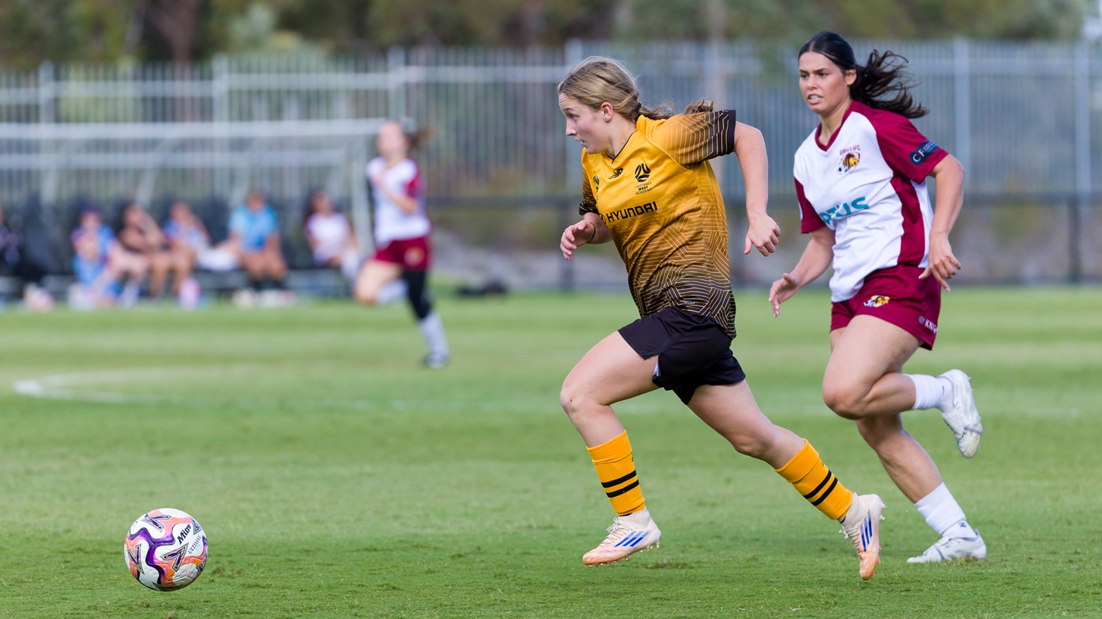 Academy v Subiaco Piper Dowe