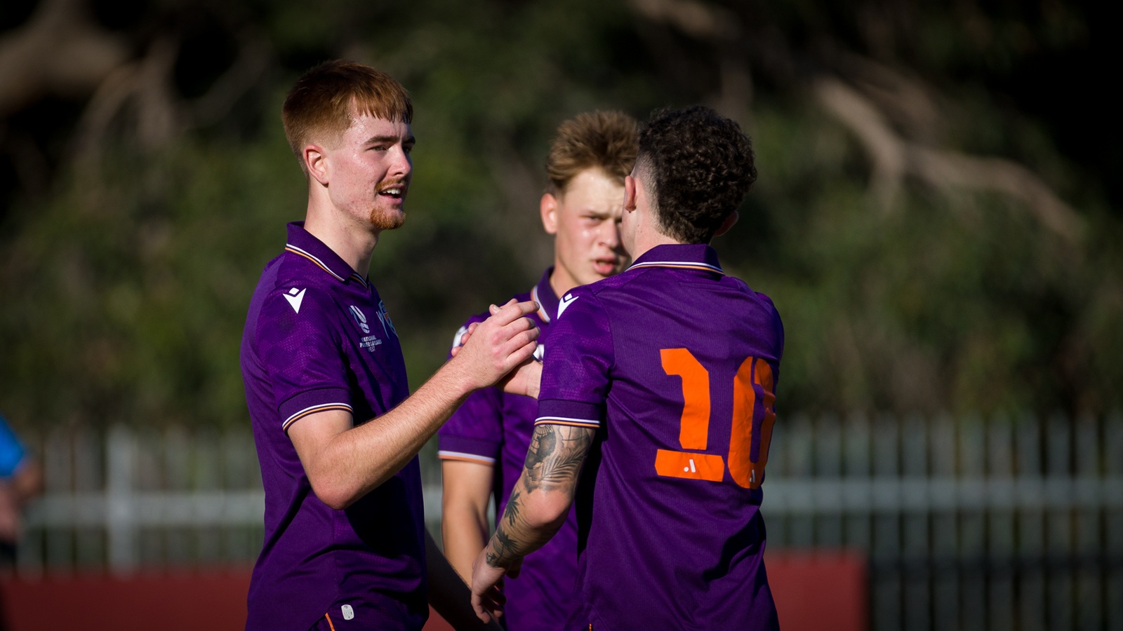 Glory v Knights