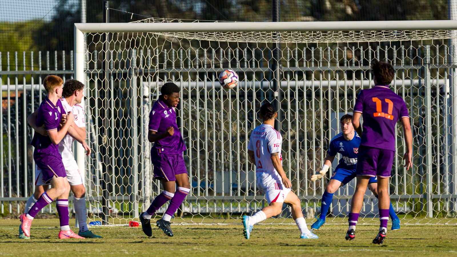 Glory v Knights