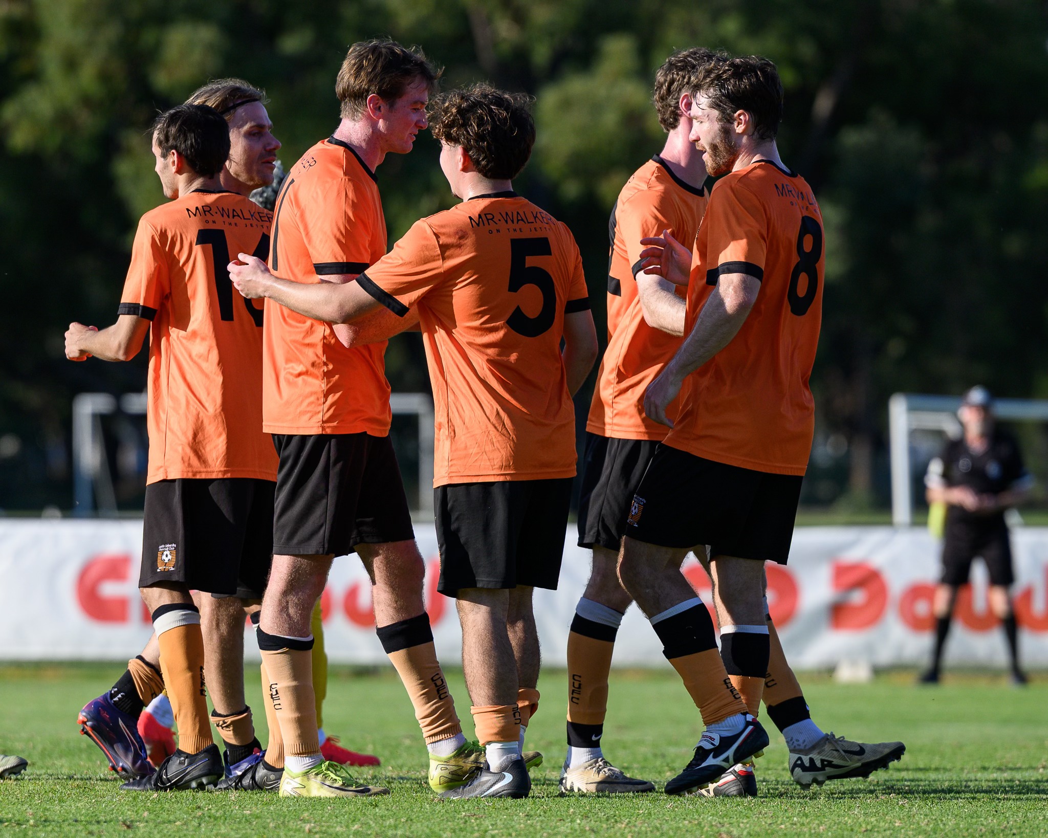 Hahn Aus Cup