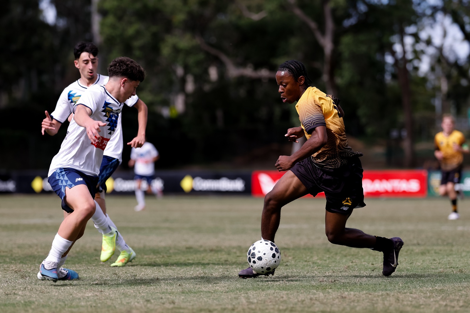 Emerging Socceroos
