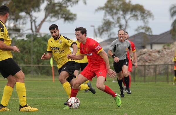 Forrestfield close gap as Van Dieken thwarts Knights
