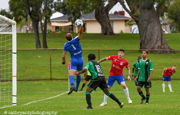 Stirling give Fergie winning return to Quinns