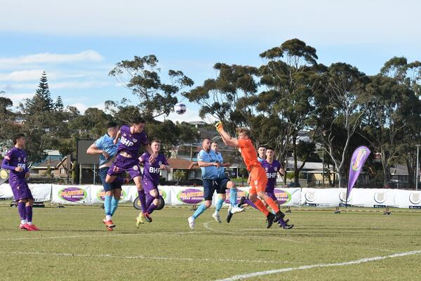 Mid West return for Glory and Sorrento