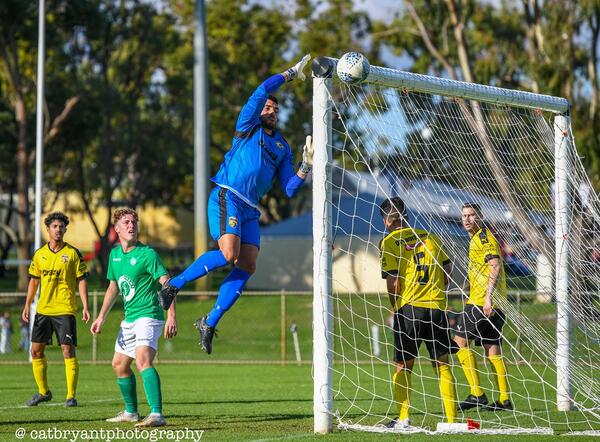 In-form Knights three points clear