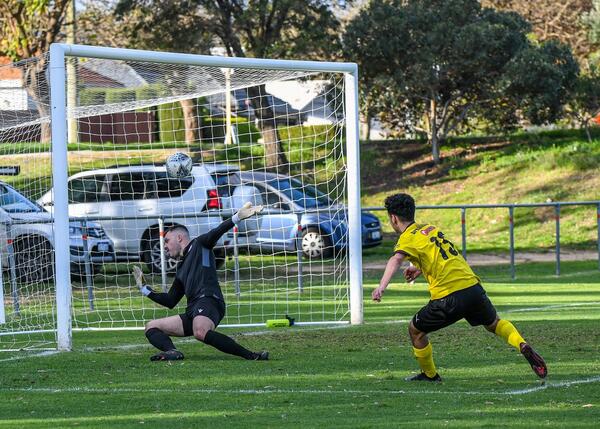 Knights fight back to deny Swan victory