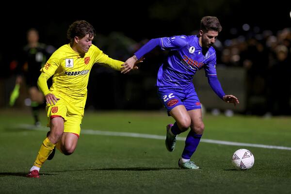 Avondale v Stirling