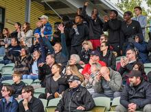 Latest advice on Night Series crowds