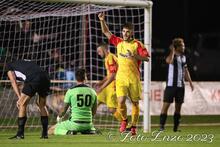 Stirling Swan FotoEnzo