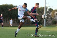 cockburn balcatta fotoenzo