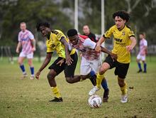 Forrestfield Gwelup Cat Bryant