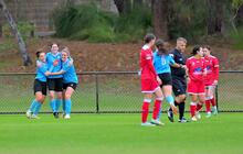 RedStar PSC Rob Lizzi