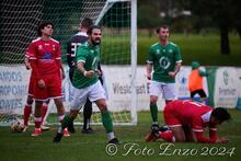 Aryn Williams fotoenzo