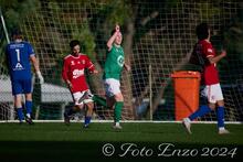 Joe Knowles Olympic Kingsway Western Knights