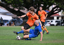 North perth Curtin cat